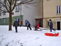 DSC05207