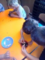 IMG 20190228 100859
