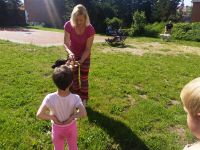 IMG 20190603 093437