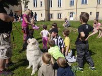 IMG 20190603 093853