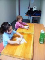 IMG 20181127 100814