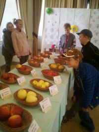 Fotografie0231